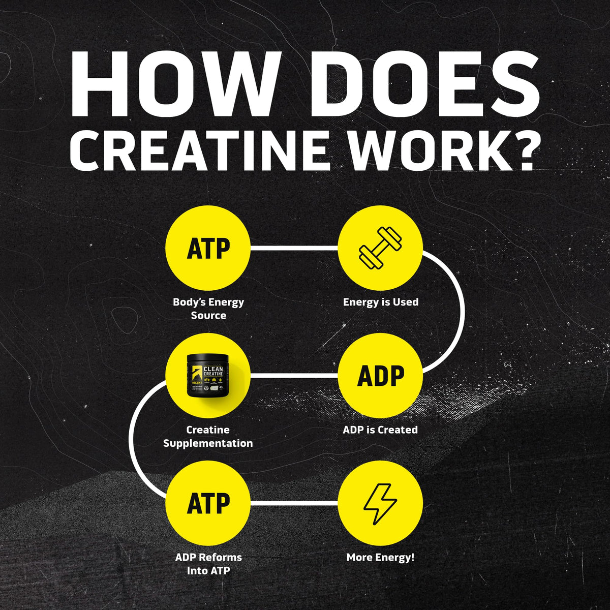 Ascent Clean Creatine Monohydrate Powder - 5G Per Serving, Creapure Supplement - Unflavored, 45 Servings - FENGGESTORE20
