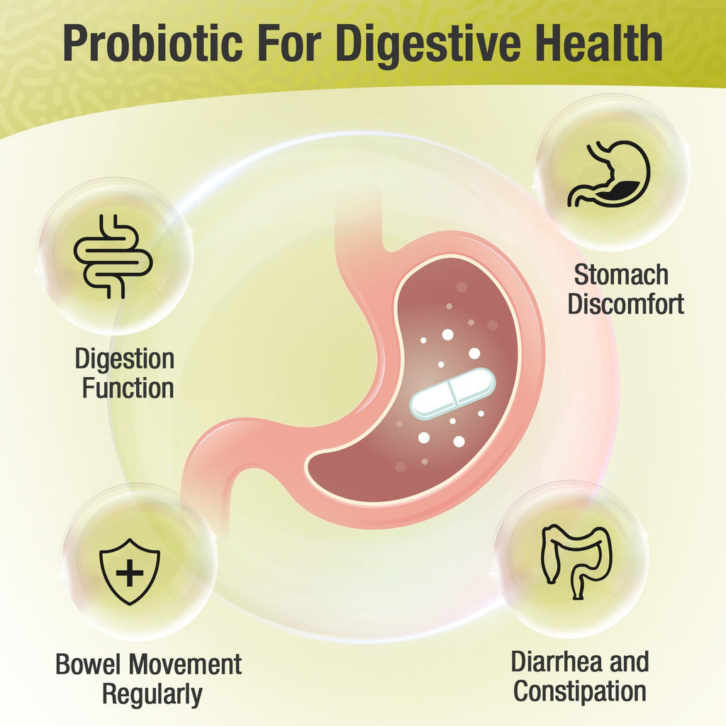 Ascuoli Probiotics for Women & Men - 300 Billion CFU, 24 Strains Probiotics + 15 Organic Herbs Blend, Daily Probiotic for Digestive Health, - FENGGESTORE20