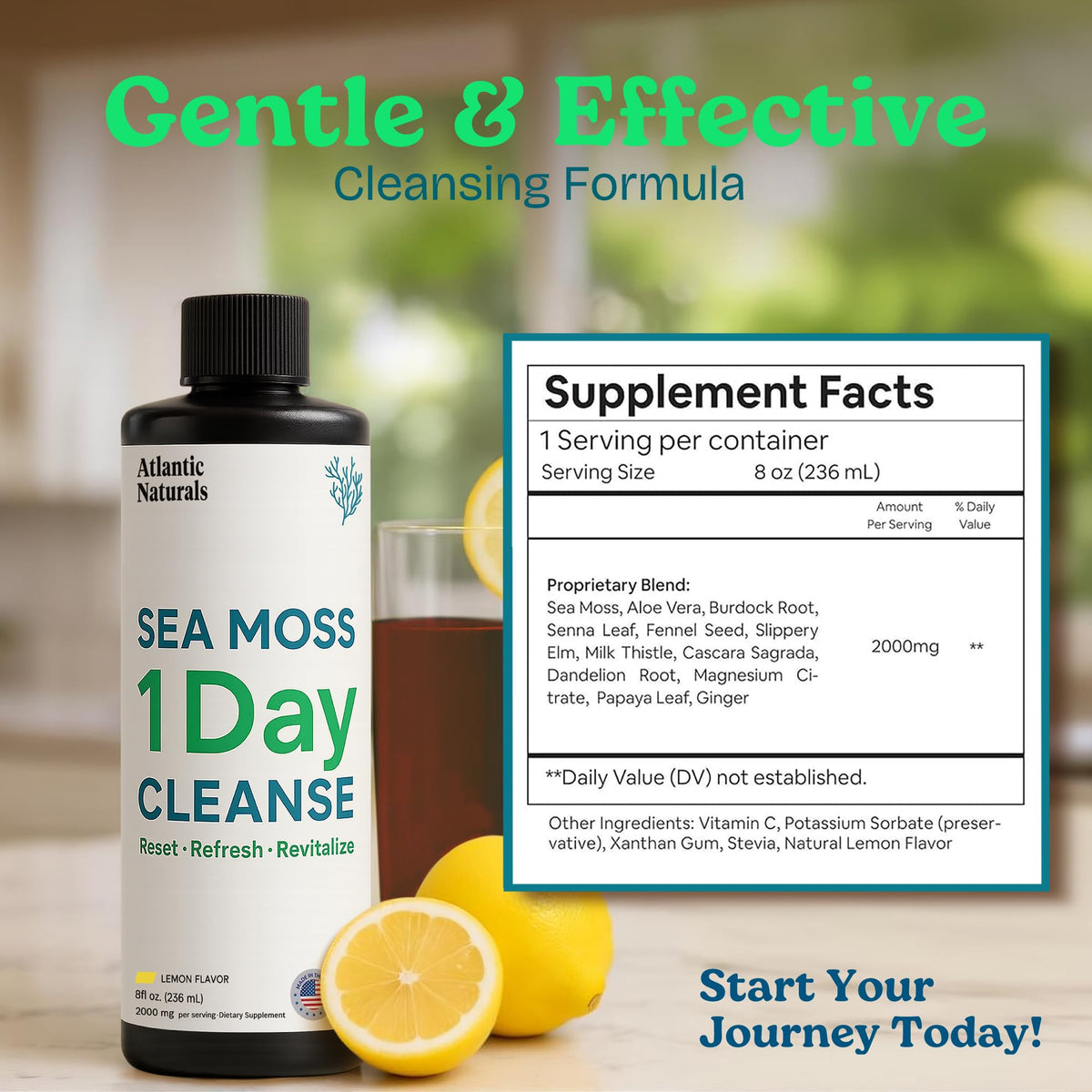 Atlantic Naturals - 1 Day Colon Cleanse Full Body Detox Drink - Sea Moss Supplement for Women & Men, Gut Health, Kidney & Liver Immune Energy Enhancer - FENGGESTORE20