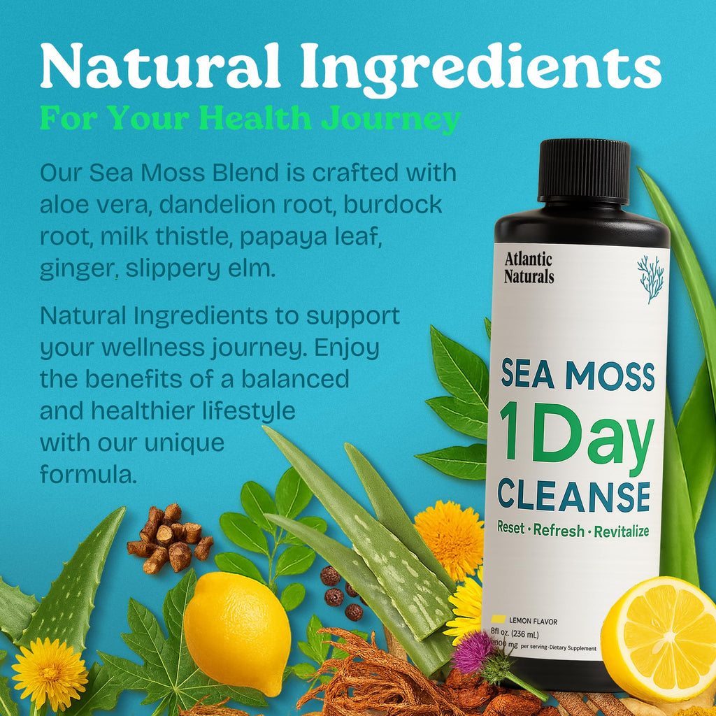 Atlantic Naturals - 1 Day Colon Cleanse Full Body Detox Drink - Sea Moss Supplement for Women & Men, Gut Health, Kidney & Liver Immune Energy Enhancer - FENGGESTORE20