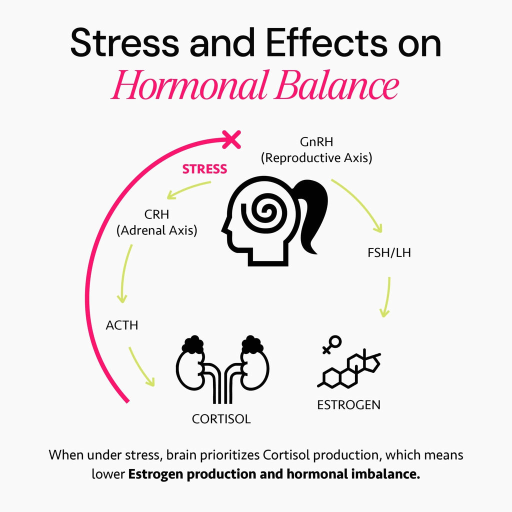 Ayurvedic Hormone Balance for Women | Cortisol Reducer | Mood, Energy, & Sleep Support | Regulates Estrogen | Stress Relief | Ashwagandha, Rhodiola, & Shatavari - FENGGESTORE20
