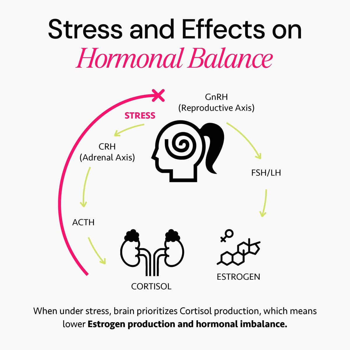 Ayurvedic Hormone Balance for Women | Cortisol Reducer | Mood, Energy, & Sleep Support | Regulates Estrogen | Stress Relief | Ashwagandha, Rhodiola, & Shatavari - FENGGESTORE20