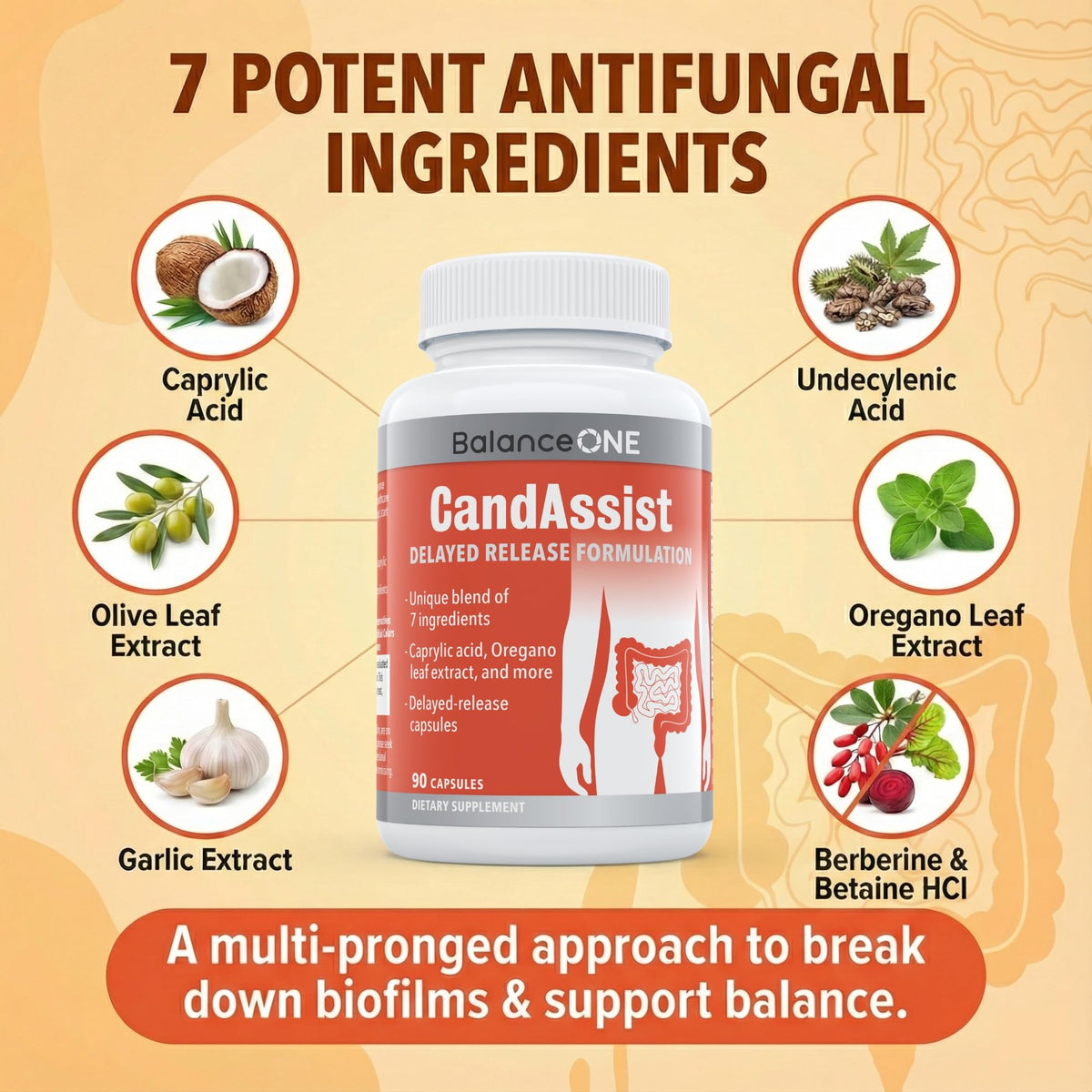 Balance ONE Candida Cleanse & Yeast Support Complex – Caprylic Acid, Undecylenic Acid, Berberine & Oregano Leaf – Gut Flora Balance for Women & Men - FENGGESTORE20