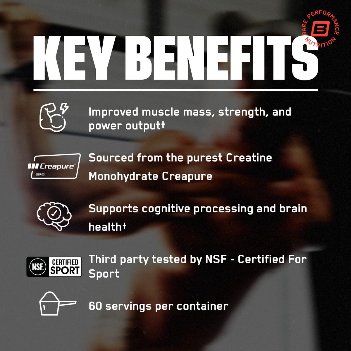 BARE PERFORMANCE NUTRITION, BPN Pure Creatine Monohydrate Powder by Creapure, 5g of Creatine per Serving, - FENGGESTORE20