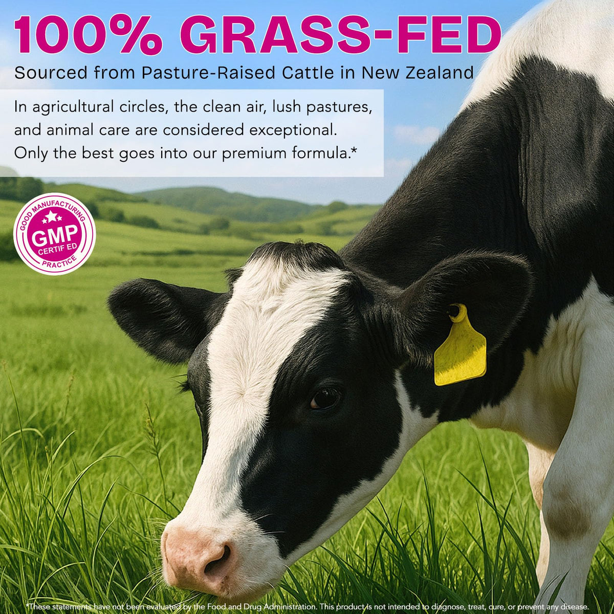 Beef Organ Supplement for Women - Grass-Fed Beef Liver, Kidney, Heart, Uterus, Ovary - Supports Female Energy & Hormone Balance - Pasture Raised in New Zealand - FENGGESTORE20