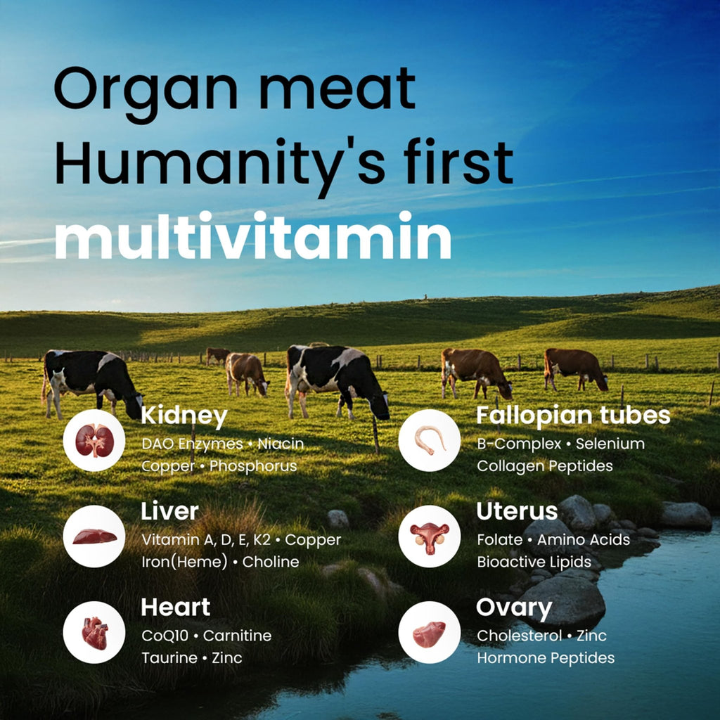 Beef Organ Supplement for Women – Grass Fed Liver, Uterus, Ovary, Heart, Kidney – 30+ Nutrients to Support Hormone Balance, Cycle Health, Energy, Immunity - FENGGESTORE20
