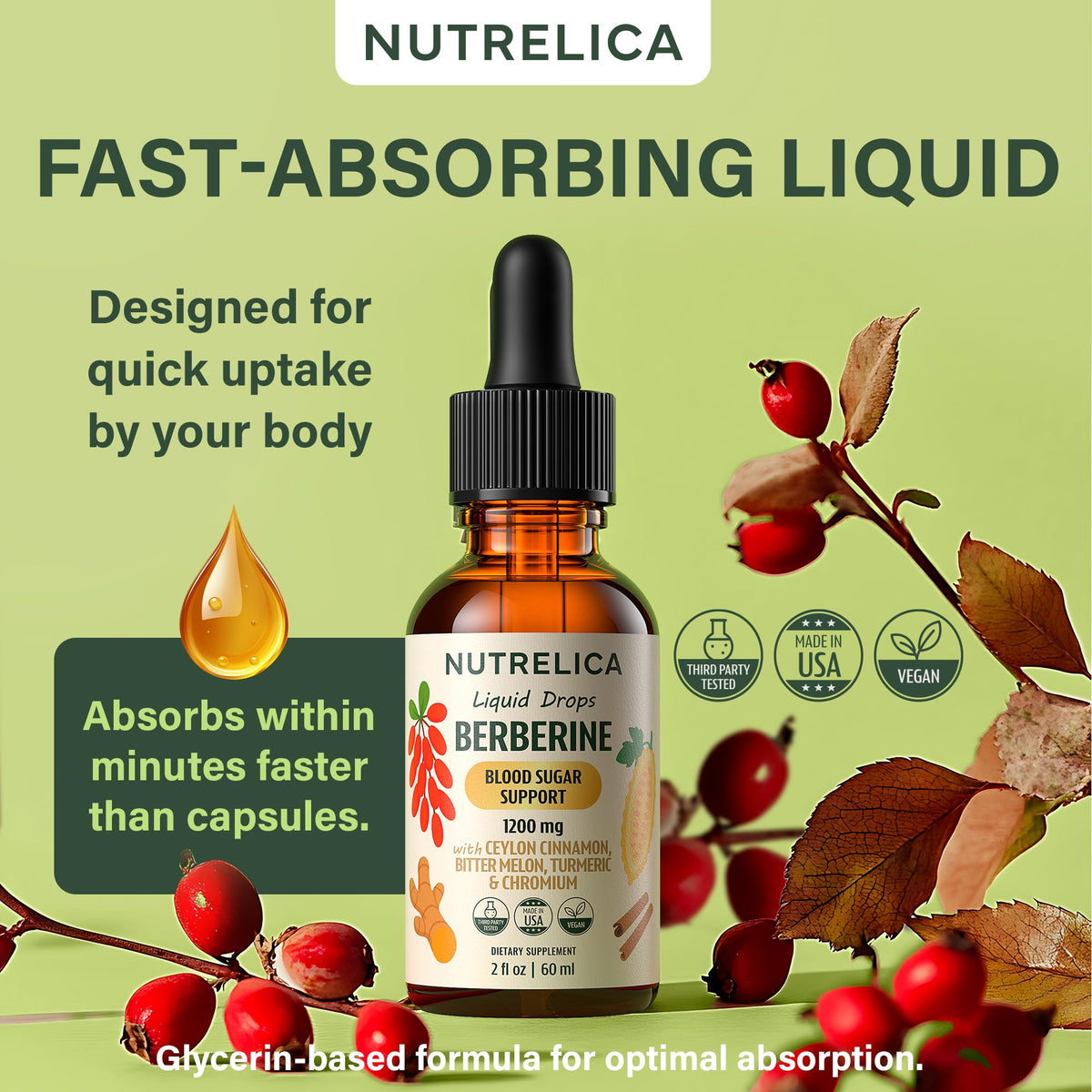 Berberine with Ceylon Cinnamon, Bitter Melon, Turmeric & Chromium – Blood Sugar Balance & Glucose Metabolism - FENGGESTORE20