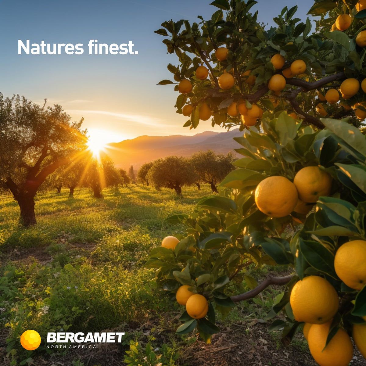 BergaMet Citrus Bergamot Supplement, 170:1 Extract, 1200mg per Serving, 80% Polyphenols, Italian Citrus Bergamot Supplement, - FENGGESTORE20