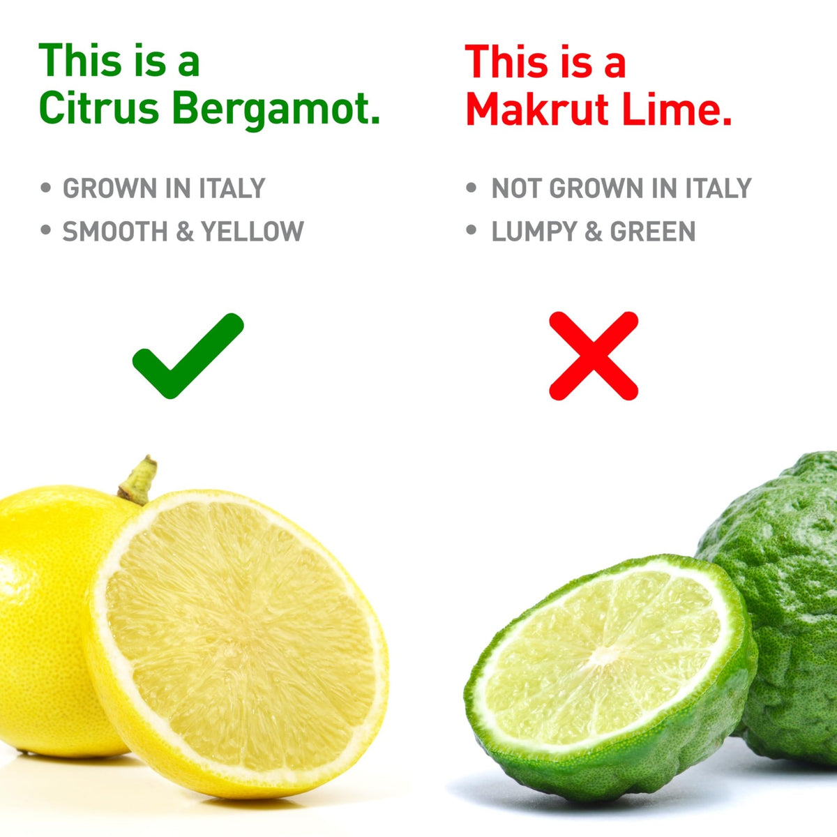 BergaMet Citrus Bergamot Supplement, 170:1 Extract, 1200mg per Serving, 80% Polyphenols, Italian Citrus Bergamot Supplement, - FENGGESTORE20