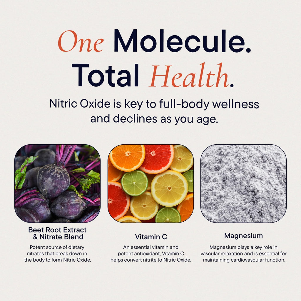 Berkeley Life Nitric Oxide Support Supplement - Nitric Oxide Booster for Men & Women - Blood Flow & Circulation with Beet Root Powder to Support Energy, - FENGGESTORE20