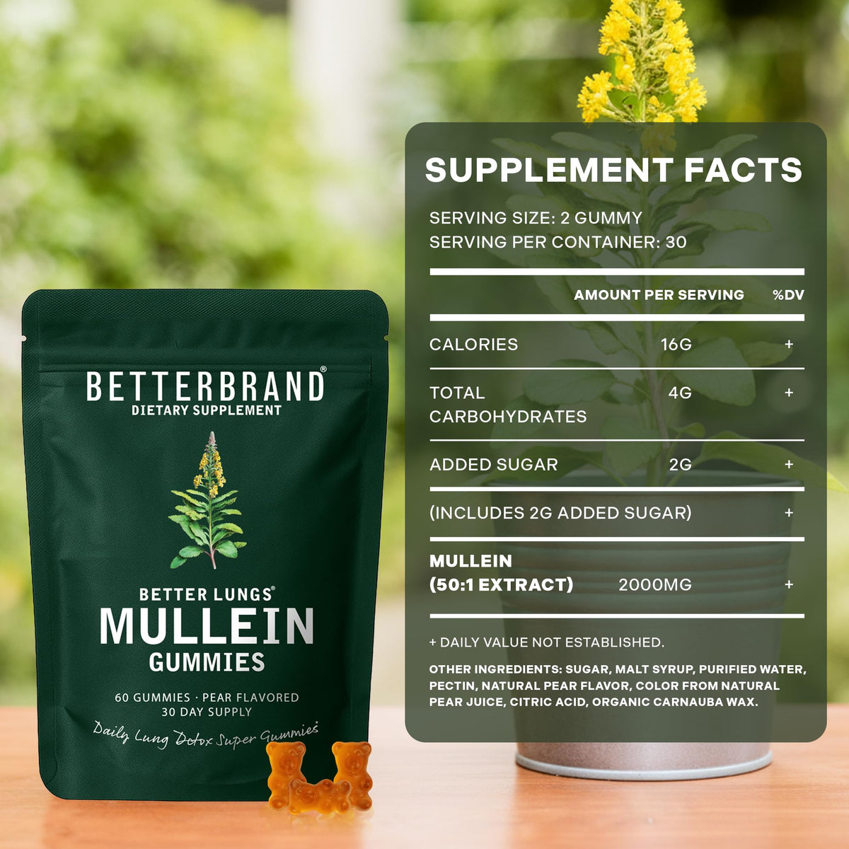 Betterbrand Mullein Chewable Gummies for Lung Cleanse and Detox, Respiratory Health Supplement, 1000mg Mullein Extract per Serving, 60 Gummies - FENGGESTORE20