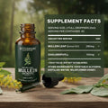 Betterbrand Mullein Drops for Lung Detox - Mullein Leaf Tincture with Chlorophyll - Helps Support Respiratory Health - FENGGESTORE20
