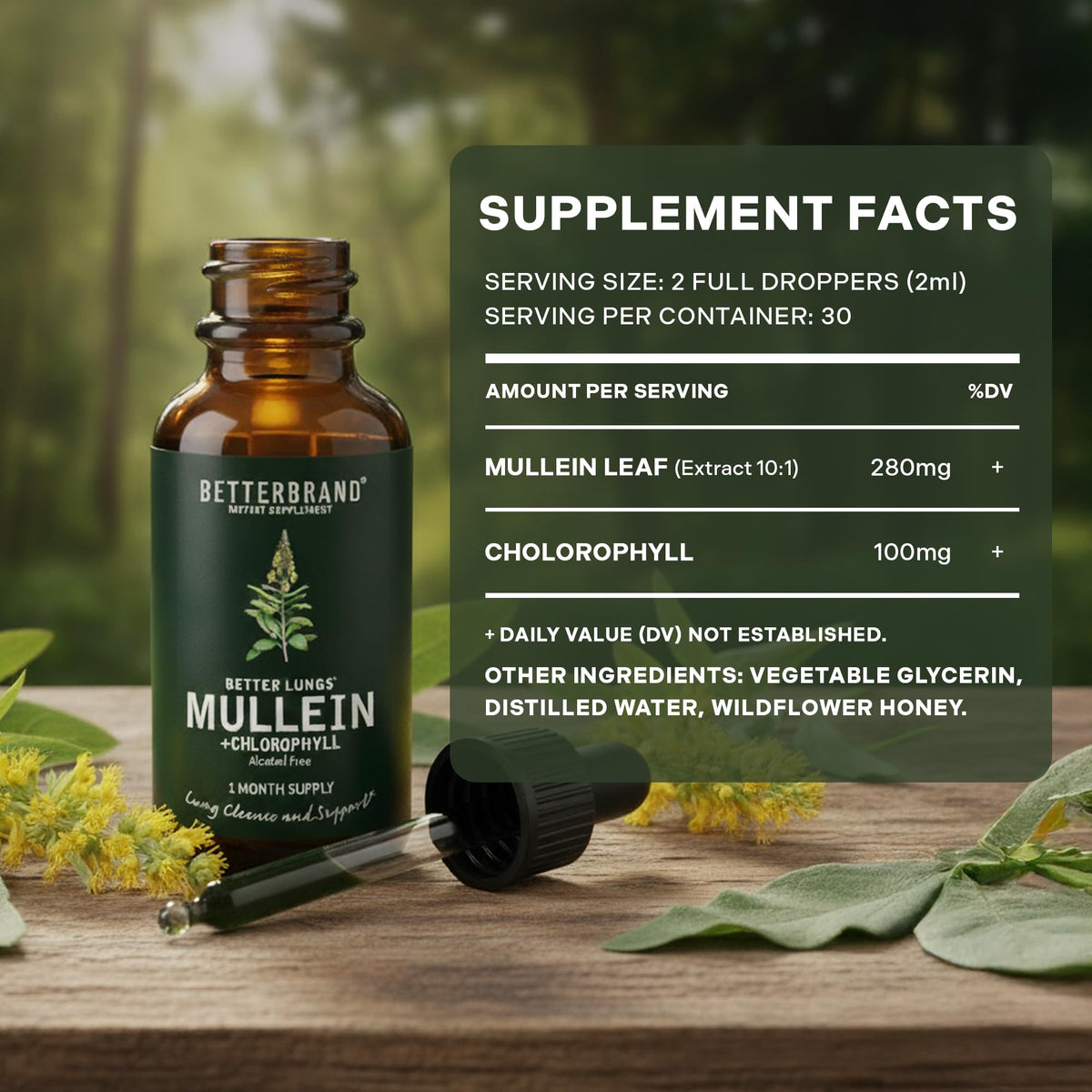 Betterbrand Mullein Drops for Lung Detox - Mullein Leaf Tincture with Chlorophyll - Helps Support Respiratory Health - FENGGESTORE20