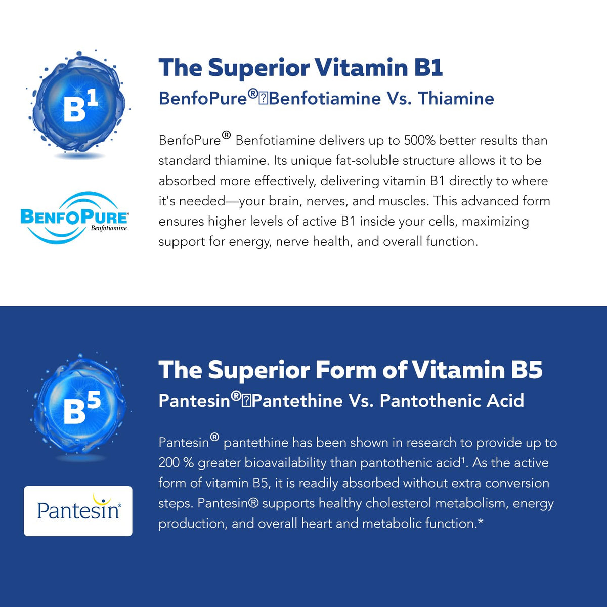 BioActive Vitamin B Complex - Blood Stream Ready, Methylated B Complex - Featuring Methylfolate, 3 BioActive Forms of B12, BenfoPure® B1 & Pantesin - FENGGESTORE20