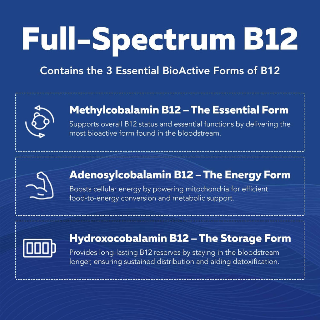 BioActive Vitamin B Complex - Blood Stream Ready, Methylated B Complex - Featuring Methylfolate, 3 BioActive Forms of B12, BenfoPure® B1 & Pantesin - FENGGESTORE20