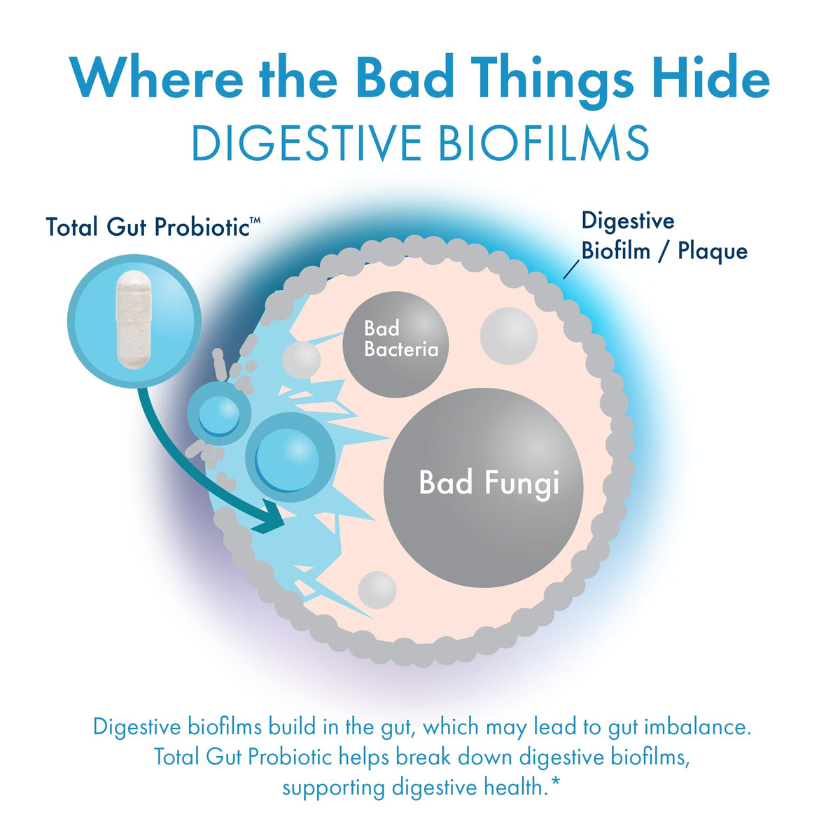 BIOHM Total Probiotic, 30 Billion CFU Daily Probiotics for Women & Men (30 Count) Helps Reduce Occasional Gas & Bloating, - FENGGESTORE20