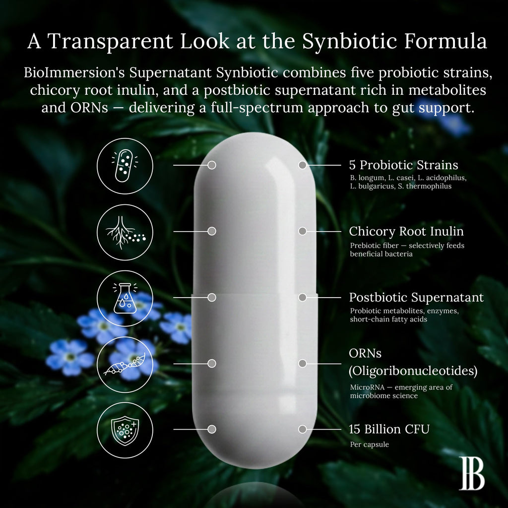 BioImmersion Supernatant Synbiotic - Prebiotic Probiotic Postbiotic - Eases Digestive Discomfort, Gut Imbalance & Yeast Overgrowth - Immune & Microbiome Support - FENGGESTORE20