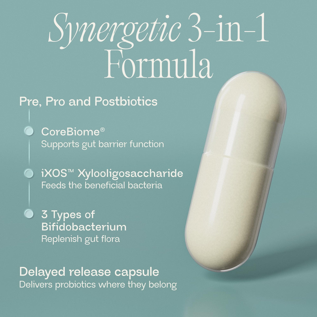 BIOMA Probiotics - Digestive Health Probiotic - Gut Support for Men & Women with Xylooligosaccharides, Tributyrin & Bifidobacterium - Vegan & Gluten Free - FENGGESTORE20