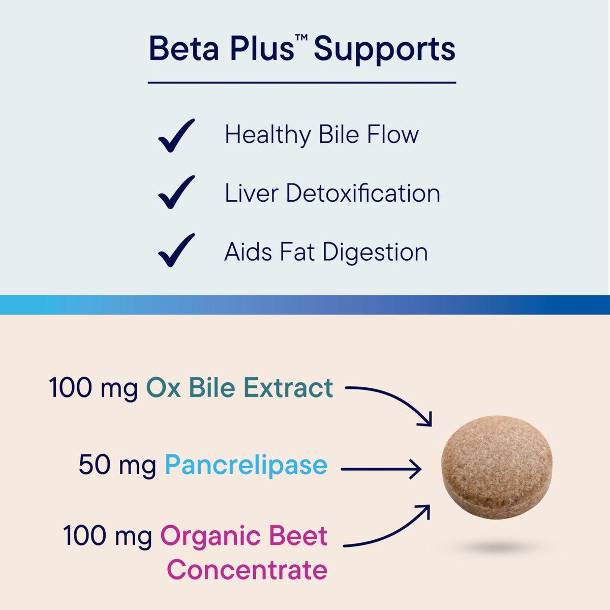 Biotics Research Beta-Plus™ Nutritional Ox Bile Salts Digestive Enzymes Supplement for Bile Production for No Gallbladder-Supports Overall Liver Function, - FENGGESTORE20
