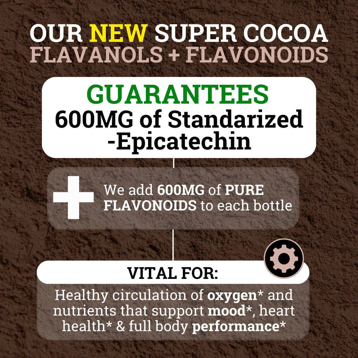 Black Forest High Flavanol Cocoa Powder (1200mg Flavanols & Flavonoids Supplements)10X More Flavanols (Epicatechin) Than Cocoa & 600mg of Epicatechin Supplement - FENGGESTORE20