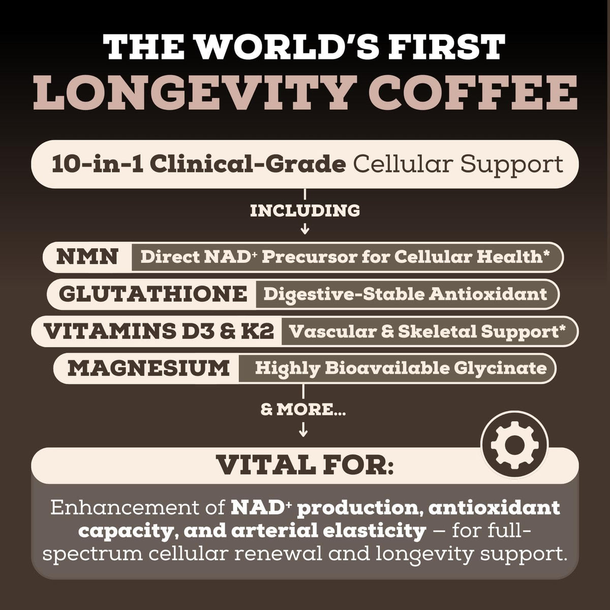 Black Forest Longevity Mix Liquid NAD+ Alternative Mocha Coffee 10-in-1 with NMN 250mg, Glutathione 250mg, TMG, Magnesium Glycinate, Vitamins D3 K2 C B12, High Polyphenol Cocoa, 30 Servings - FENGGESTORE20