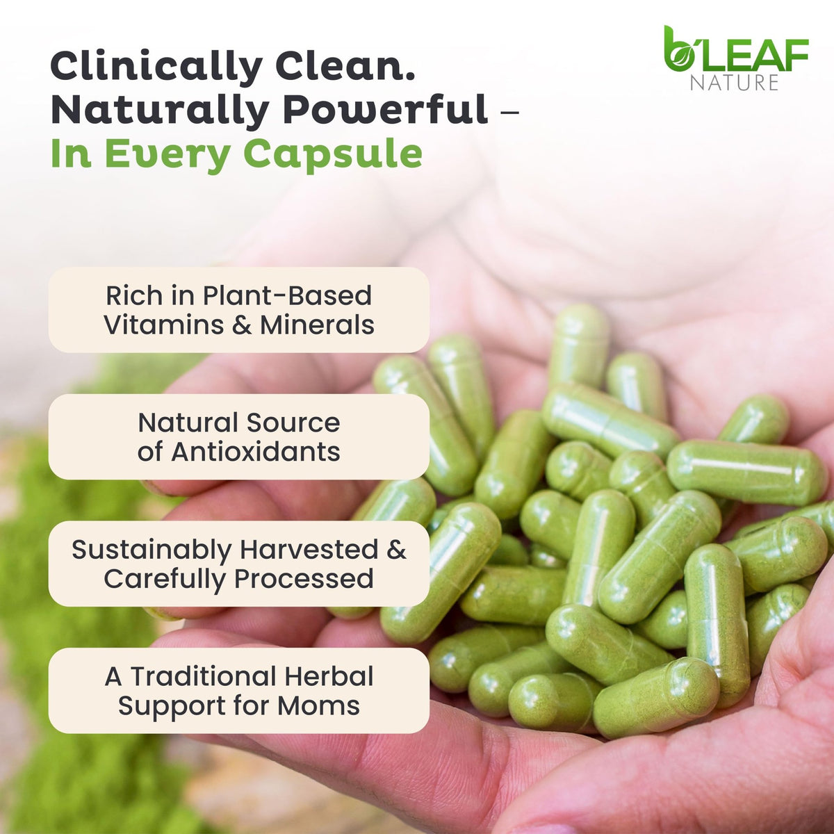 B'Leaf Nature Moringa Capsules Organic 1000mg — Pure Moringa Oleifera Leaf Powder Capsules for Energy & Immune Support - FENGGESTORE20