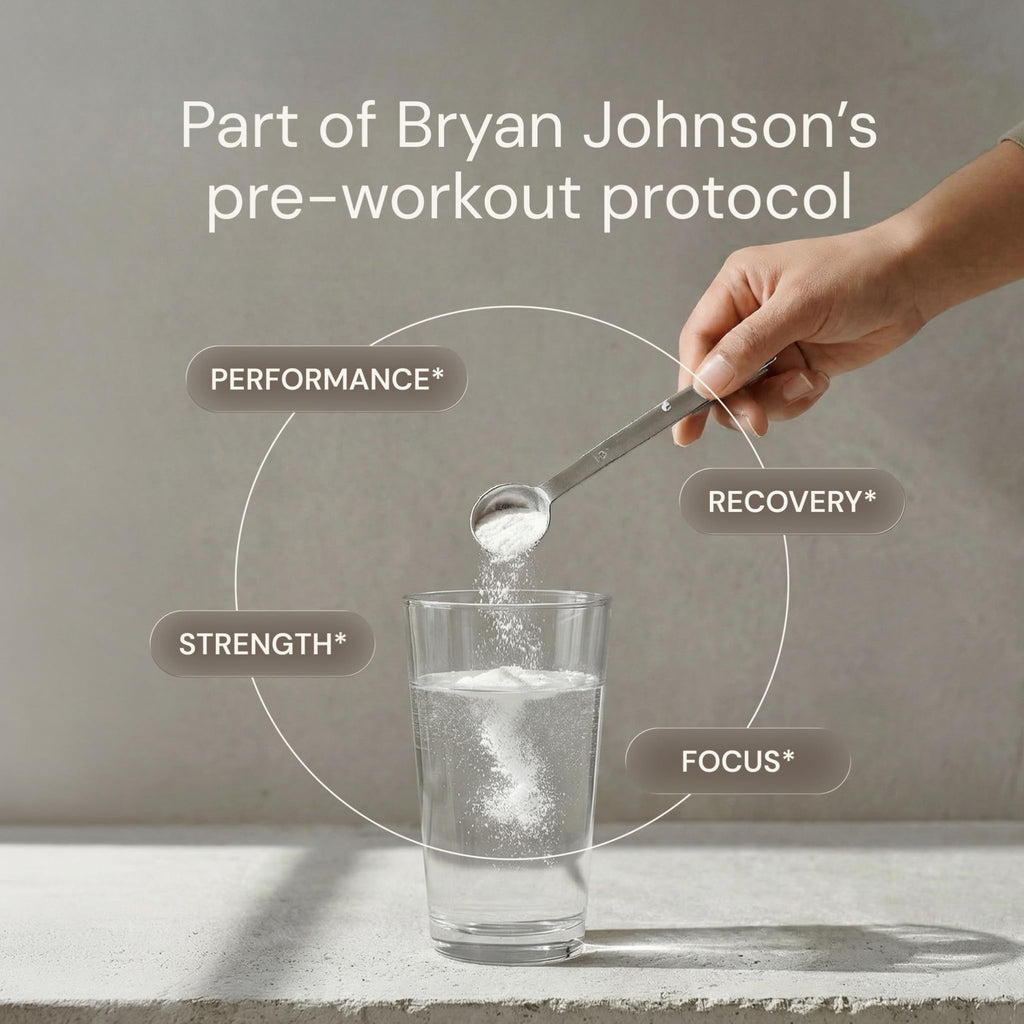 Blueprint Bryan Johnson Creatine Monohydrate Powder – Amino Acid Powder - Supplement Supports Muscle Growth, Recovery, Strength & Focus – Unflavored Creatine for Women & Men – 5g Dose – 100 Servings - FENGGESTORE20