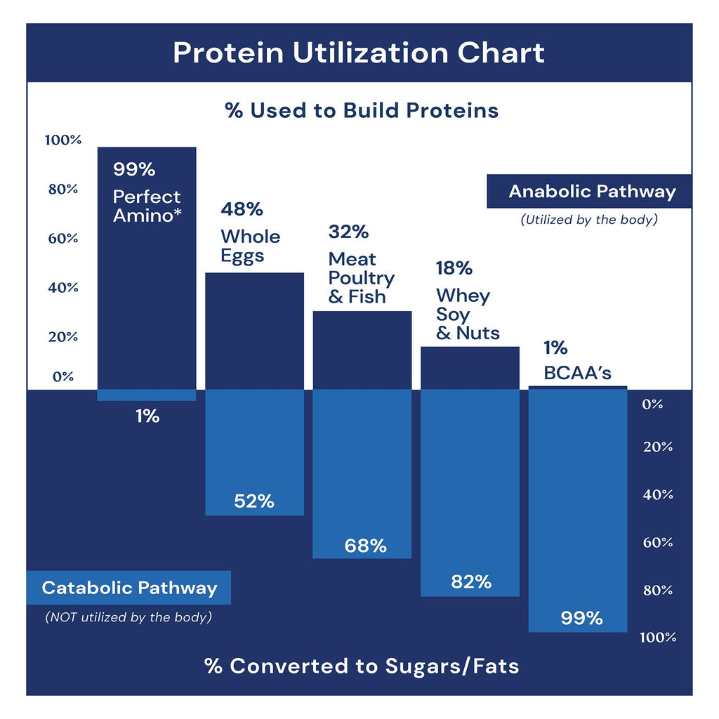 BodyHealth PerfectAmino, Essential Amino Acid with BCAAs + Lysine, Phenylalanine, Threonine, Methionine, Tryptophan, Supplement for Muscle Mass Production, - FENGGESTORE20