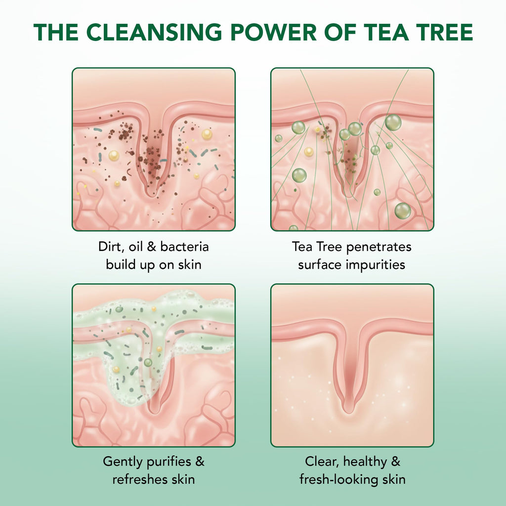 Botanic Hearth Tea Tree Body Wash -16 fl oz- All-Natural Antifungal & Odor-Control Shower - FENGGESTORE20