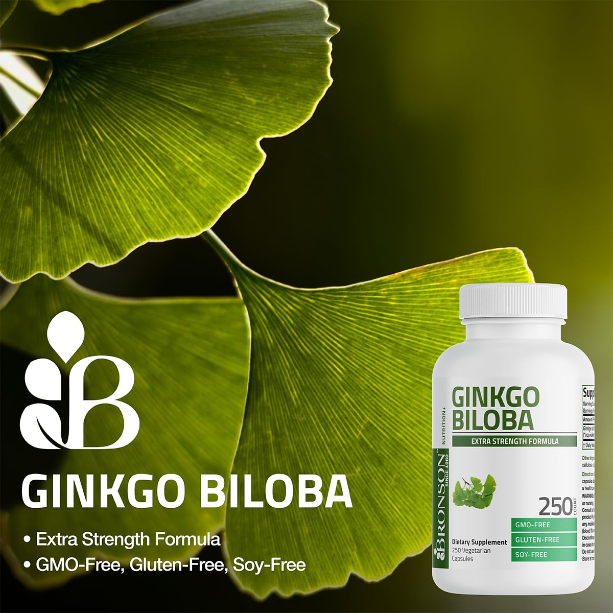 Bronson Ginkgo Biloba Extra Strength Supports Brain Function & Memory Support, 120 Vegetarian Capsules - FENGGESTORE20