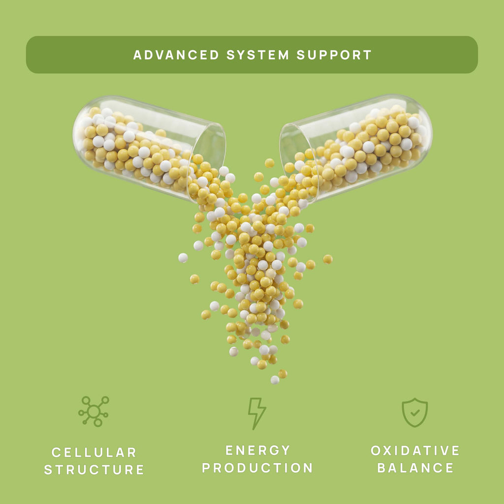 C15:0 Pentadecanoic Acid Supplement | Longevity, Cellular & Membrane Support, Micro-Granule Enhanced Absorption, Phosphatidylcholine, L-Carnitine, - FENGGESTORE20
