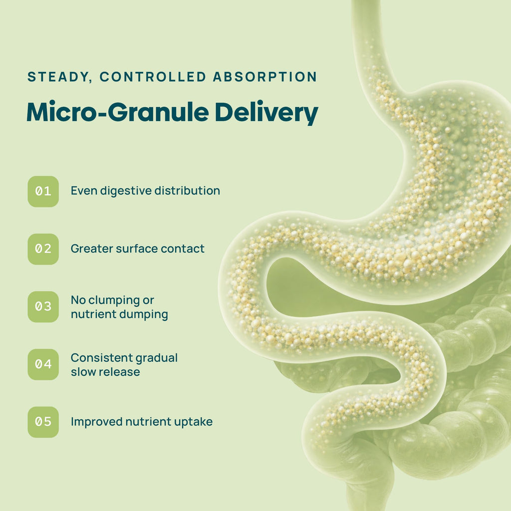 C15:0 Pentadecanoic Acid Supplement | Longevity, Cellular & Membrane Support, Micro-Granule Enhanced Absorption, Phosphatidylcholine, L-Carnitine, - FENGGESTORE20
