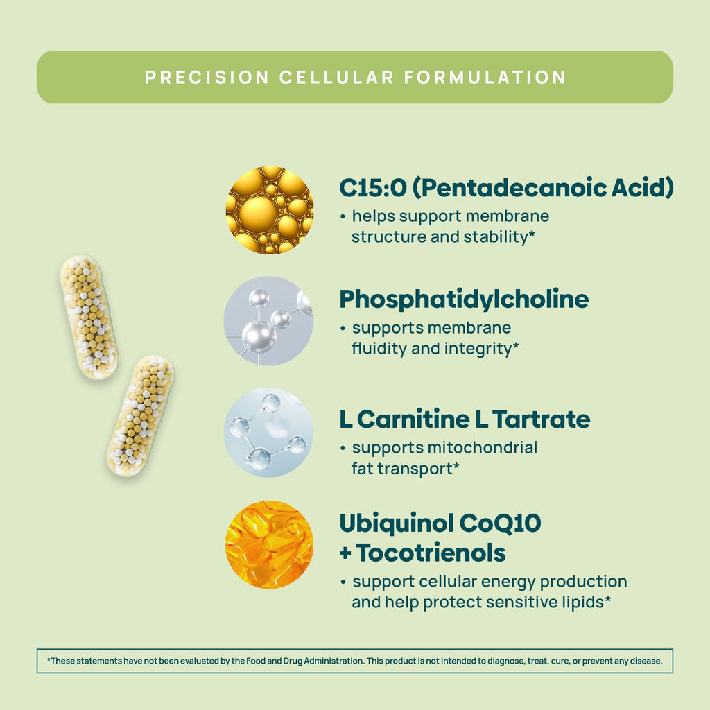 C15:0 Pentadecanoic Acid Supplement | Longevity, Cellular & Membrane Support, Micro-Granule Enhanced Absorption, Phosphatidylcholine, L-Carnitine, - FENGGESTORE20