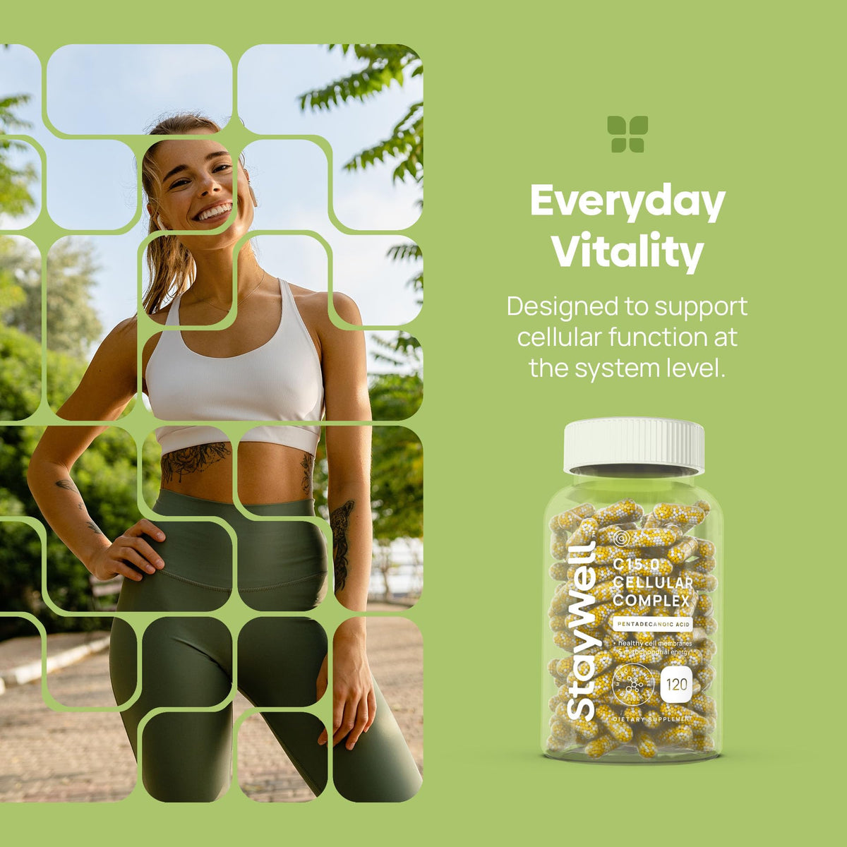 C15:0 Pentadecanoic Acid Supplement | Longevity, Cellular & Membrane Support, Micro-Granule Enhanced Absorption, Phosphatidylcholine, L-Carnitine, - FENGGESTORE20