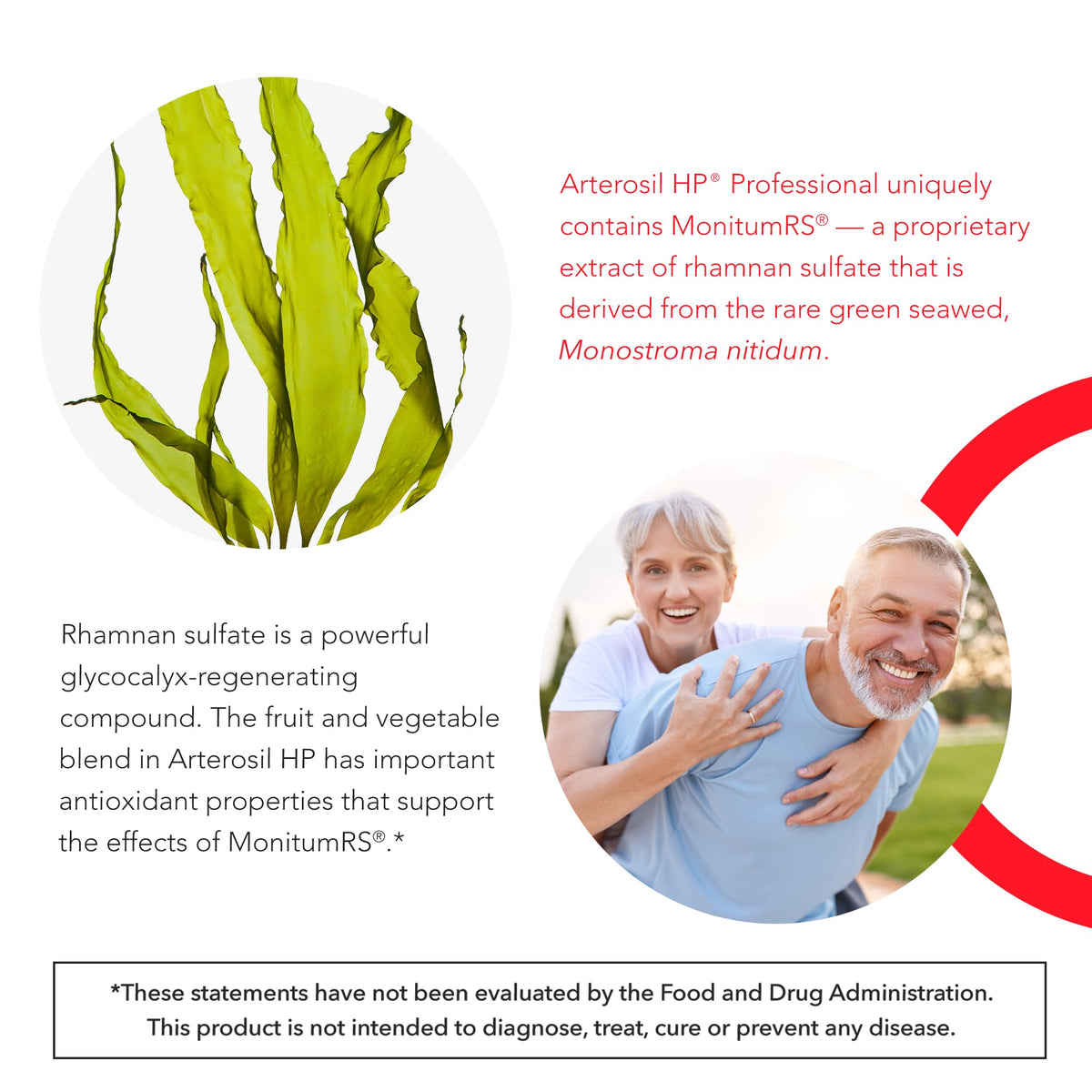 Calroy Health Sciences Arterosil HP Professional - Endothelial Glycocalyx Support - Heart Health Support - Artery Health Support - Circulation Support – MonitumRS® Rhamnan Sulfate - Monostroma Nitidum - FENGGESTORE20