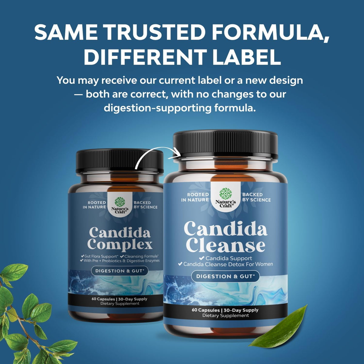 Candida Cleanse Detox for Women - Anti Overgrowth Gut Detox for Women with Caprylic Acid Black Walnut Wormwood and Oregano - Full Body Cleanse - FENGGESTORE20