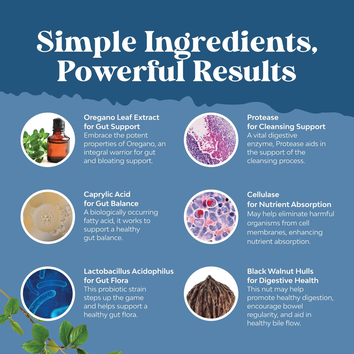 Candida Cleanse Detox for Women - Anti Overgrowth Gut Detox for Women with Caprylic Acid Black Walnut Wormwood and Oregano - Full Body Cleanse - FENGGESTORE20