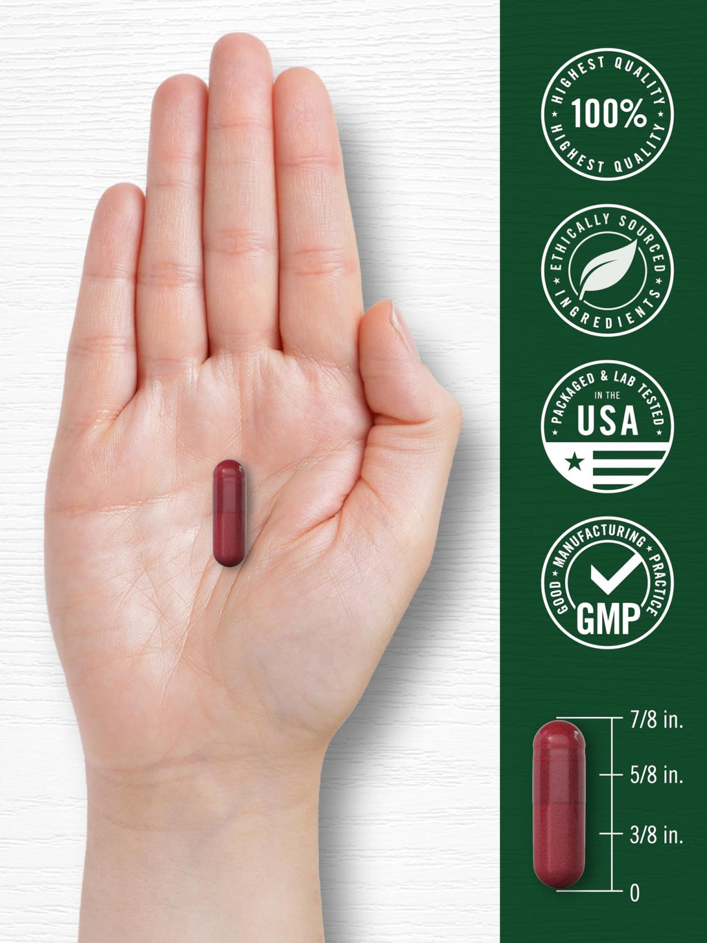 Carlyle Beet Root Capsules | 120 Count | Quick Release Capsules | Non-GMO and Gluten Free Supplement - FENGGESTORE20