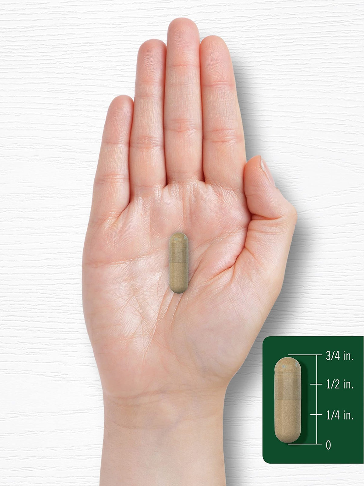 Carlyle Gotu Kola Capsules | 180 Count | Non-GMO, Gluten Free | Traditional Herb Extract - FENGGESTORE20