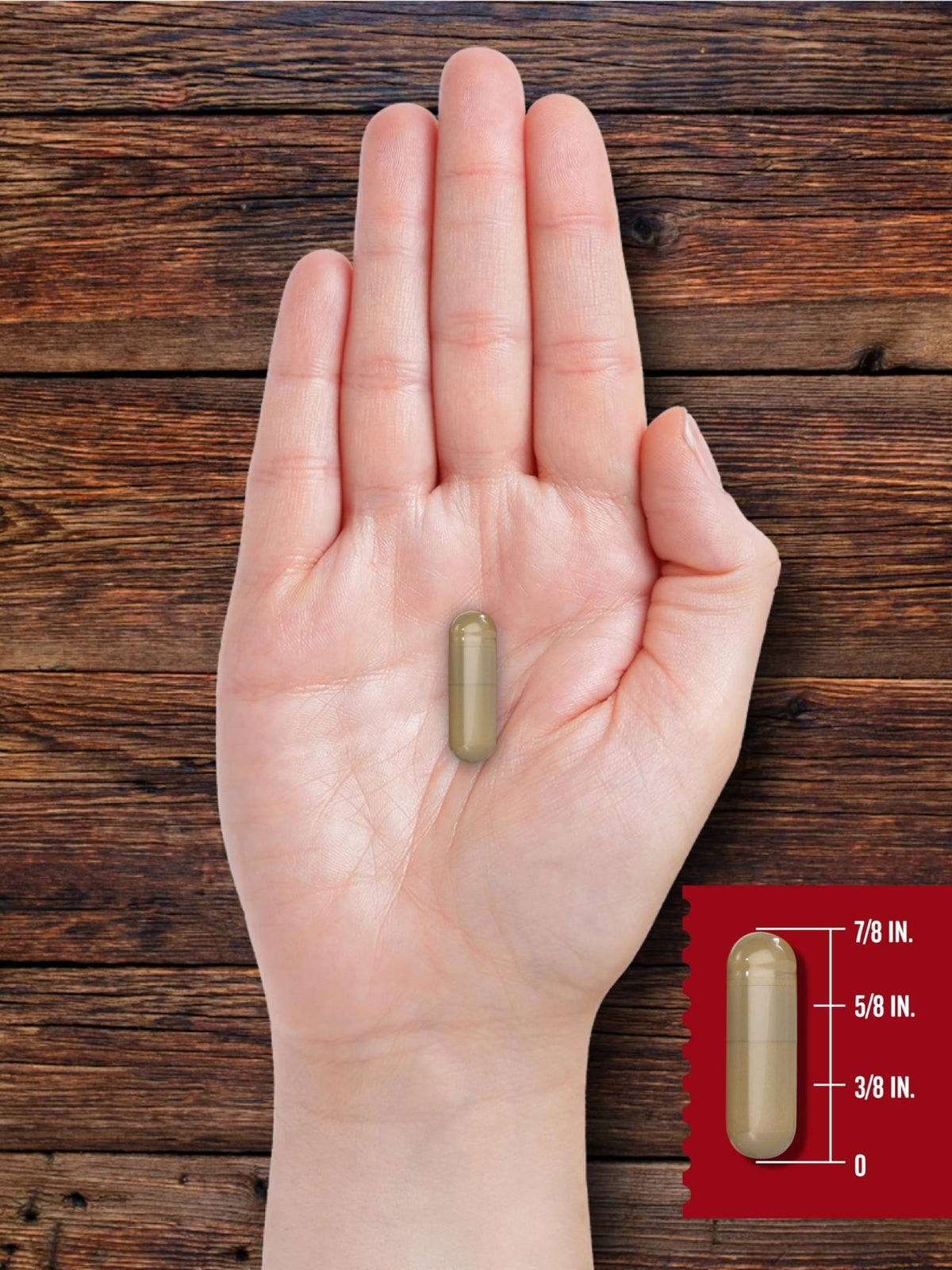 Carlyle Grass Fed Beef Organ Complex | 200 Capsules | Pasture Raised, Grain Free Supplement | with Desiccated Liver, Kidney, Pancreas, Heart, Spleen - FENGGESTORE20