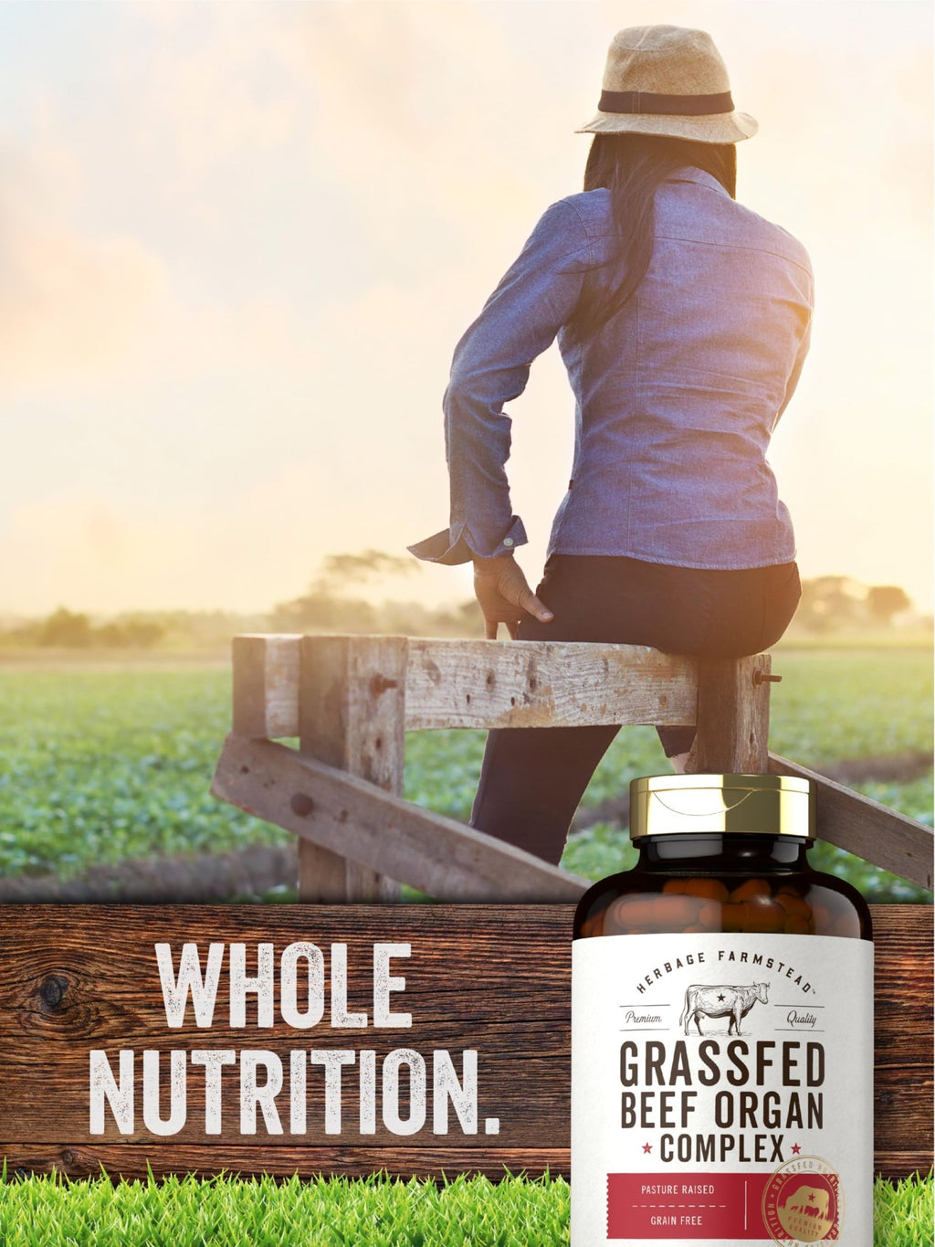 Carlyle Grass Fed Beef Organ Complex | 200 Capsules | Pasture Raised, Grain Free Supplement | with Desiccated Liver, Kidney, Pancreas, Heart, Spleen - FENGGESTORE20