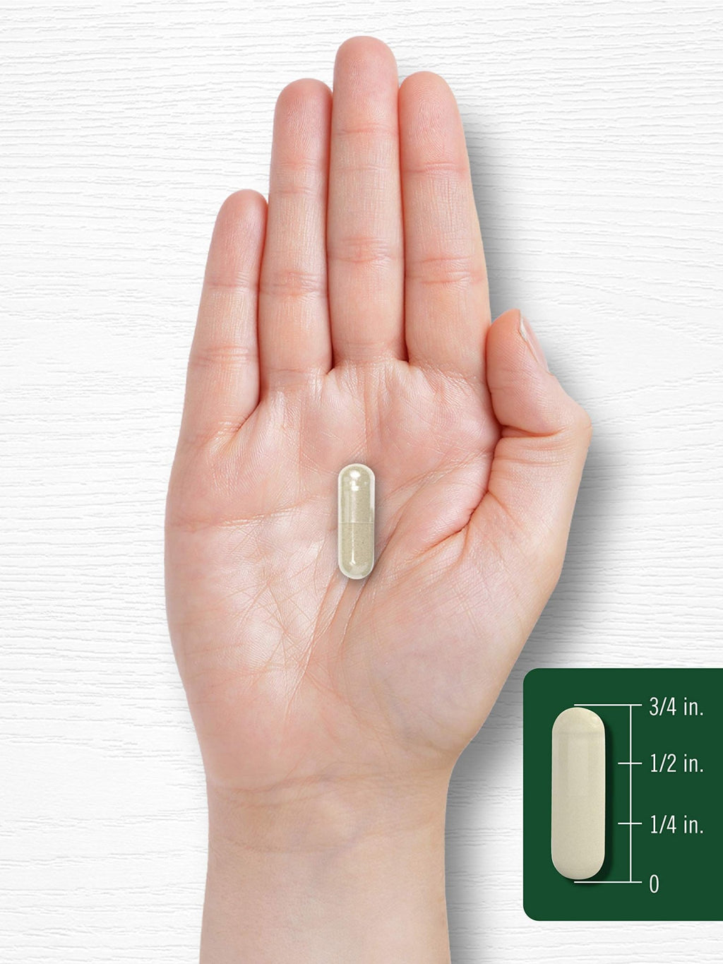 Carlyle Gymnema Sylvestre Capsules | 200 Count | Non-GMO and Gluten Free Supplement - FENGGESTORE20