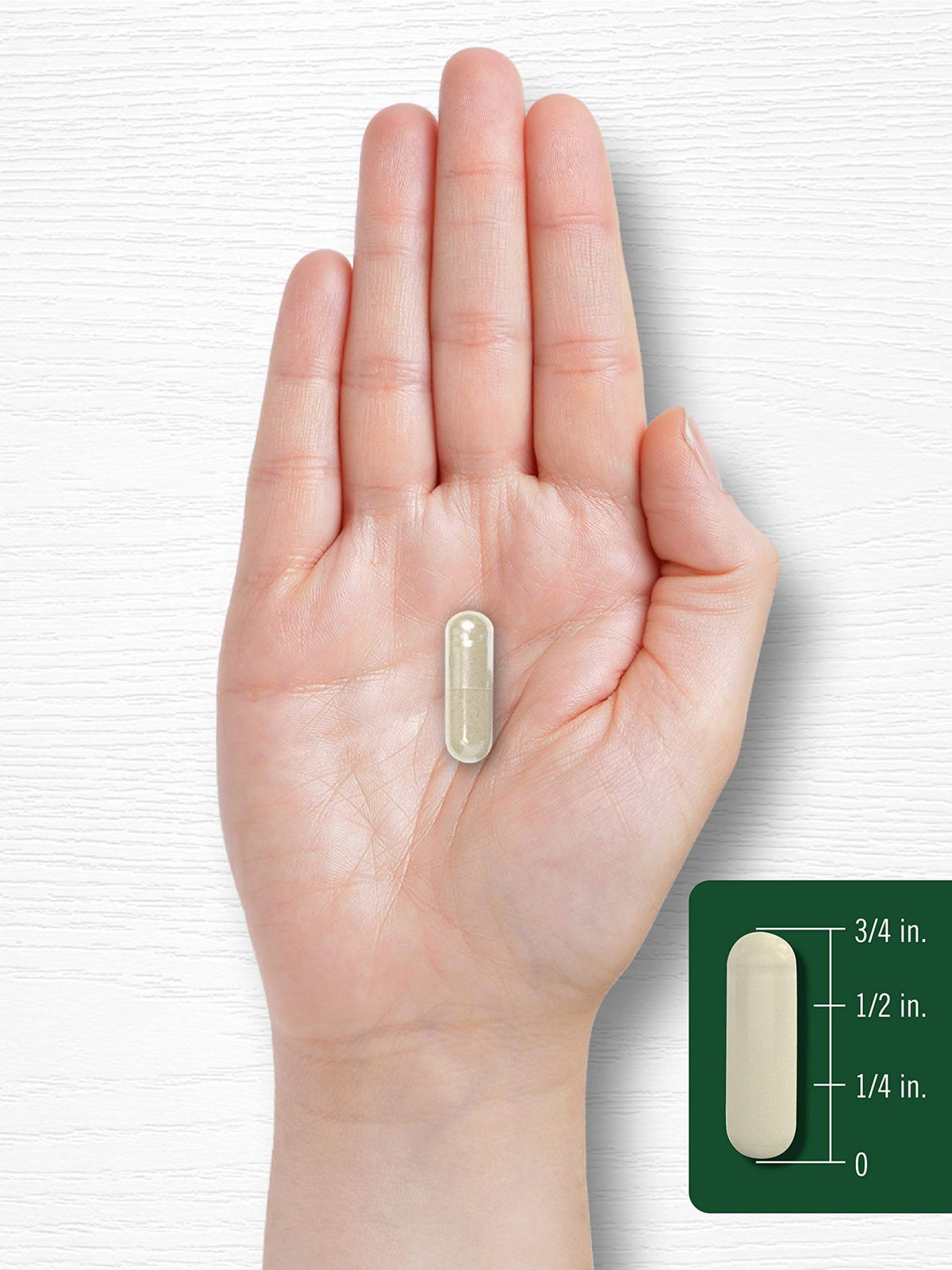 Carlyle Gymnema Sylvestre Capsules | 200 Count | Non-GMO and Gluten Free Supplement - FENGGESTORE20