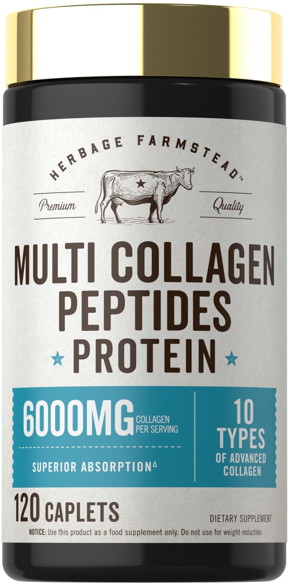 Carlyle Multi Collagen Peptides 6000mg | 120 Caplets | 10 Types of Advanced Collagen with Protein | Non-GMO, Gluten Free Supplement | by Herbage Farmstead - FENGGESTORE20