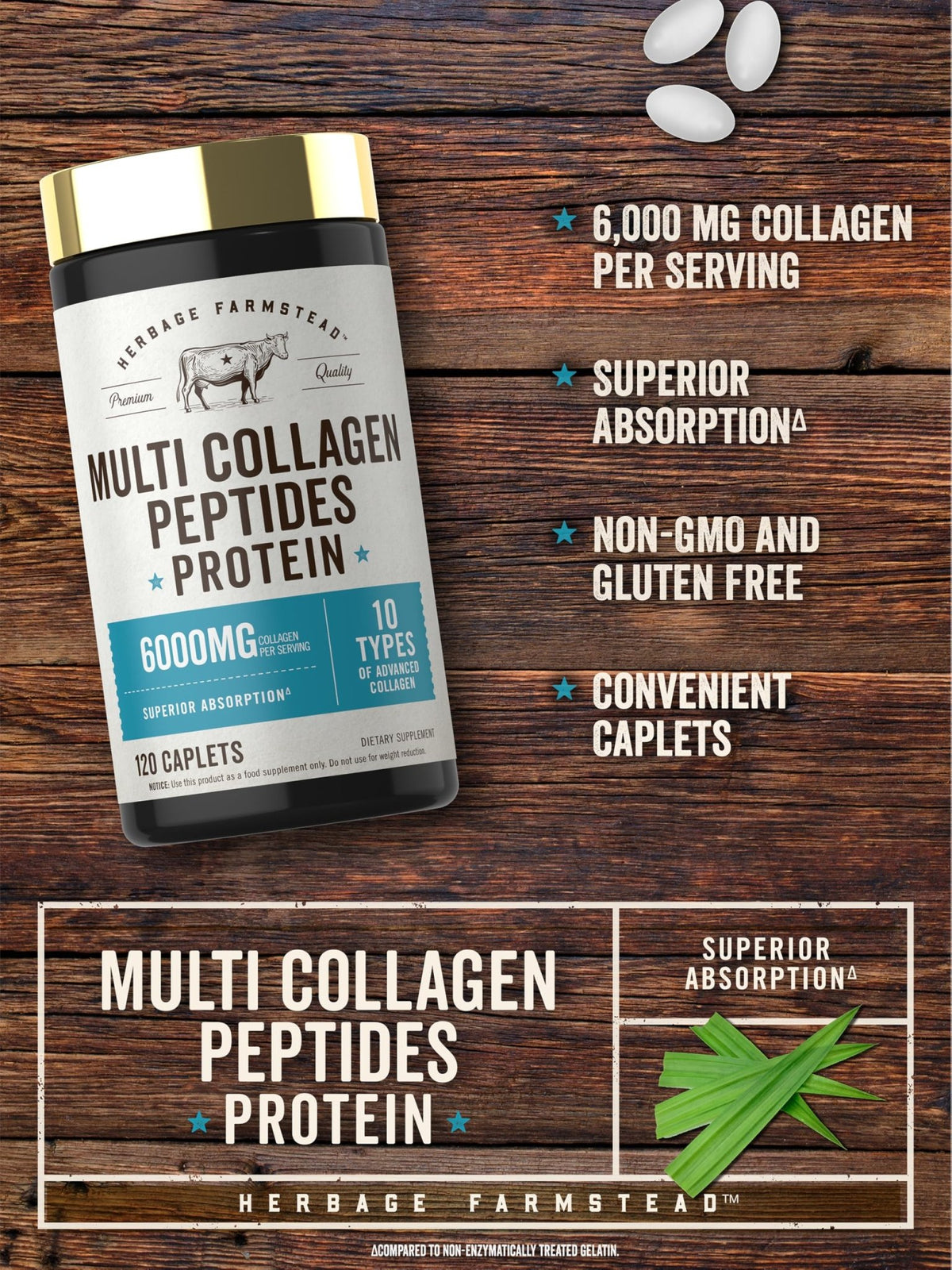 Carlyle Multi Collagen Peptides 6000mg | 120 Caplets | 10 Types of Advanced Collagen with Protein | Non-GMO, Gluten Free Supplement | by Herbage Farmstead - FENGGESTORE20