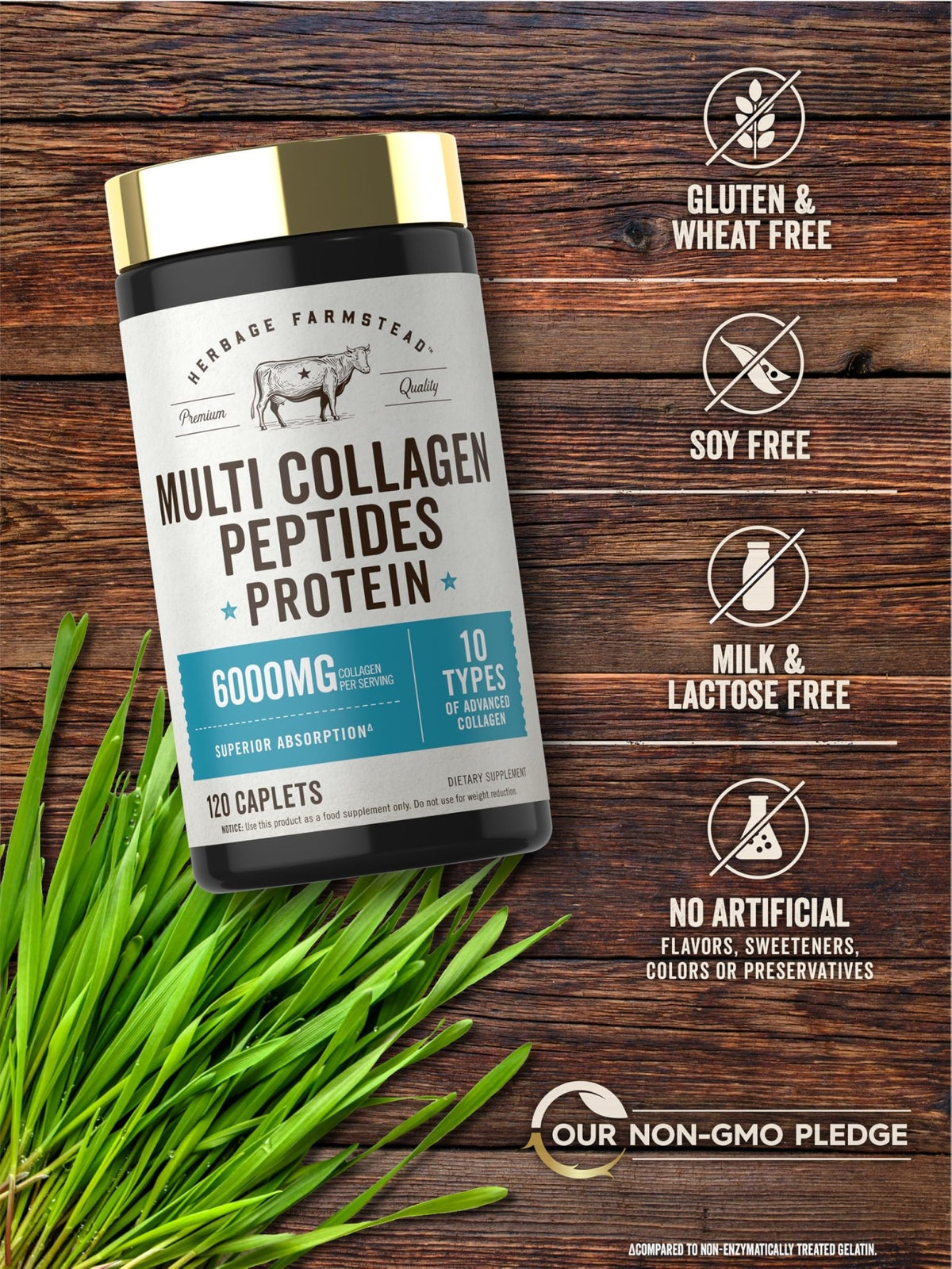 Carlyle Multi Collagen Peptides 6000mg | 120 Caplets | 10 Types of Advanced Collagen with Protein | Non-GMO, Gluten Free Supplement | by Herbage Farmstead - FENGGESTORE20