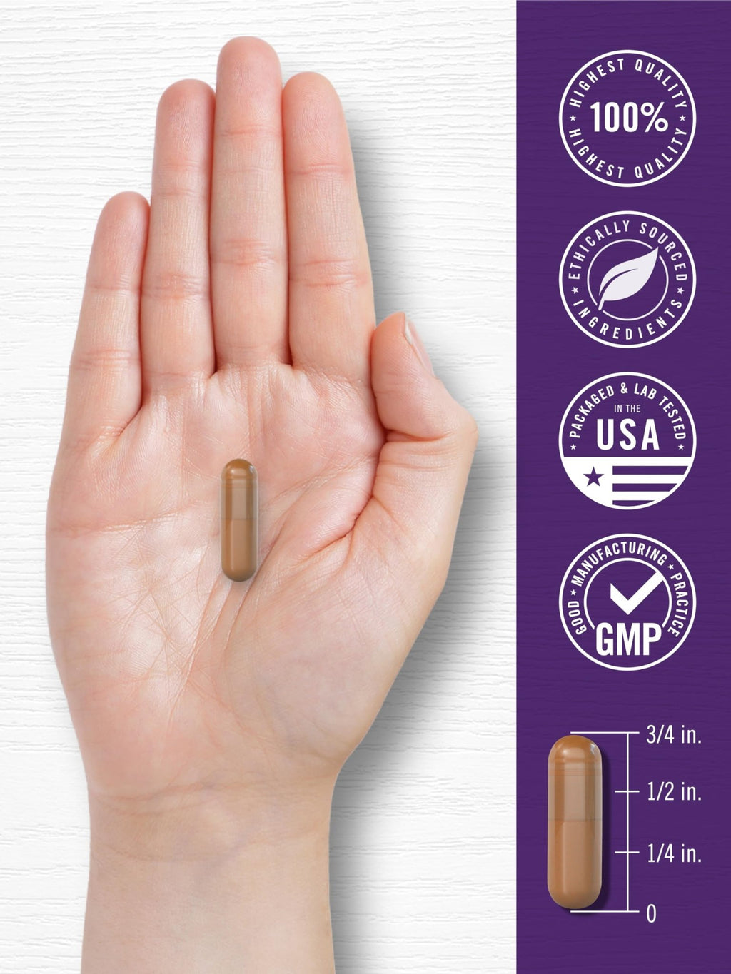 Carlyle Resveratrol Complex - 180 Capsules - Trans Resveratrol Supplement with Grape Seed Extract - Non GMO, Gluten Free - FENGGESTORE20