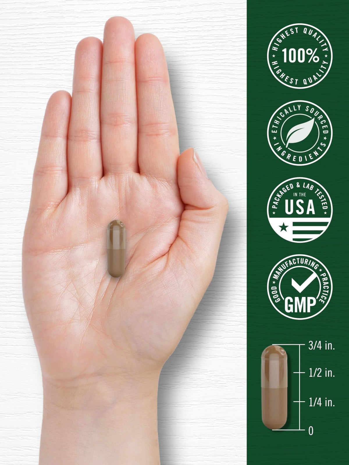 Carlyle Valerian Root Capsules | 240 Count | Herb Extract Supplement | Non-GMO, Gluten Free - FENGGESTORE20