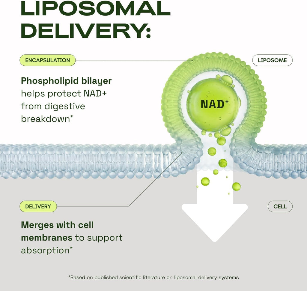 Cata-Kor NMN Supplement Alternative – Liposomal NAD+ Supplement - NAD CORE 30-Day Supply 60 Capsules - FENGGESTORE20