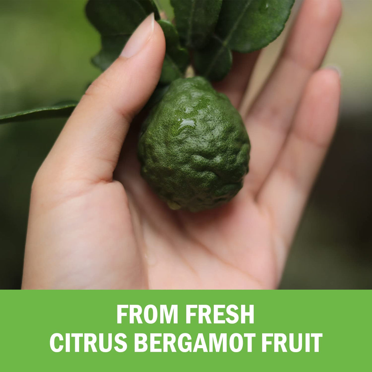Citrus Bergamot 1000mg - Citrus Bergamot Supplement for Cholesterol and Heart Health - Ultra Concentrated from Fresh Fruit for Enhanced Absorption - Vegan, Non-GMO, Gluten-Free - 120 Mini Capsules - FENGGESTORE20